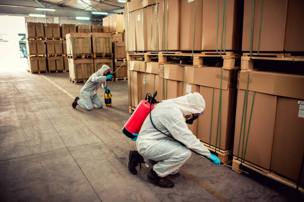 Best Rat Extermination Near Me  in Seaside, OR