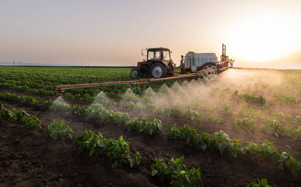 Best Mosquito Control Services  in Seaside, OR