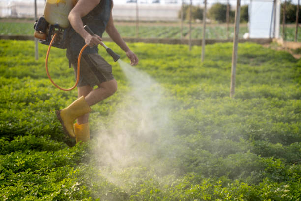 Reliable Seaside, OR Pest Control Solutions