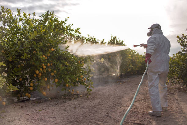 Best Best Pest Control Companies  in Seaside, OR