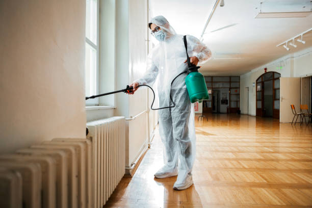 Best Termite Control Services  in Seaside, OR
