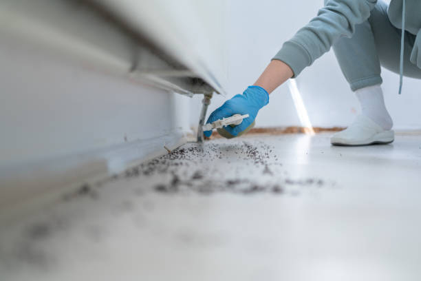 Best Best Pest Control Companies  in Seaside, OR